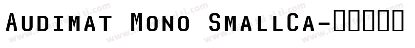Audimat Mono SmallCa字体转换